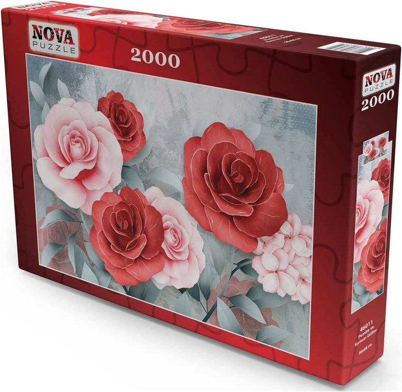 Pink and Red Roses